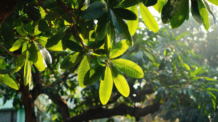 The Jackfruit tree in spring, fresh green leaves, soft sunlight filtering, vibrant atmosphere full...