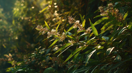 The Sesame in summer, Bright sunlight pierces dense foliage, the air feels hot, natural color