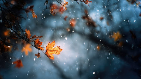 In winter, chilling air envelops, a few lingering leaves tremble, still atmosphereの写真素材