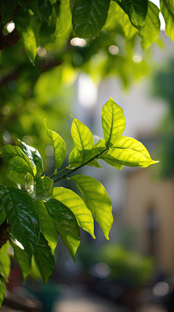 In spring, fresh green leaves, soft sunlight filtering, vibrant atmosphere full of vitality, natural...