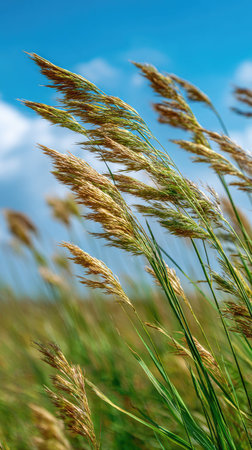A wide shot of Guar swaying gently in the wind, realistic photography style, bright and vivid...