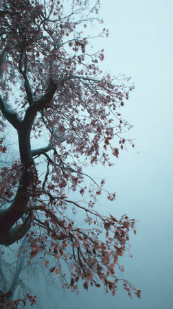 The Cherry tree in winter, chilling air envelops, a few lingering leaves tremble, still atmosphere,...