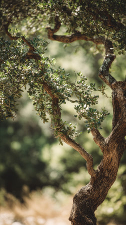 A detailed photograph of a single Cork oak, swaying gently in the wind, captured in natural daylight. Fresh and airy atmosphere, soft motion blur on leaves, crisp details on textures, background softly blurred into natural greenery, cinematic natural light, realistic photography.の写真素材