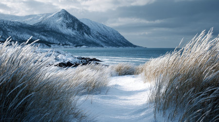 A photograph of Scandinavian fjords 215 with fjord coastal headland, nordic mountain grasses, snowy...