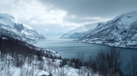 A photograph of Scandinavian fjords with fjord valley overlooking the sea, nordic mountain shrubs, snowy nordic winter, ultra realistic landscape photography, wide angle lens, natural colors, clean composition, no peopleの写真素材