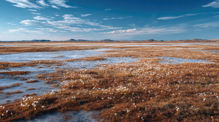 A photograph of Nordic tundra 231 with tundra landscape with frozen wetlands, arctic wildflowers,...
