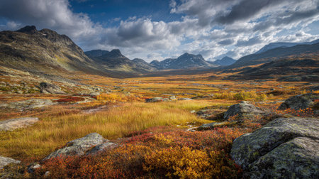 A photograph of Nordic tundra with rocky tundra highlands, tundra marsh vegetation, colorful tundra...