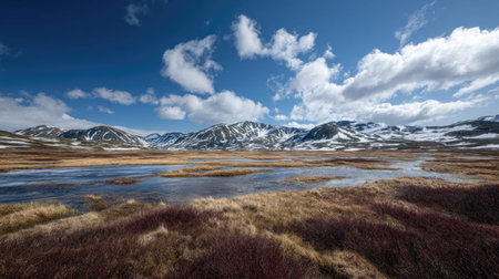A photograph of Nordic tundra 365 with arctic tundra steppe, tundra wetlands, arctic spring thaw,...