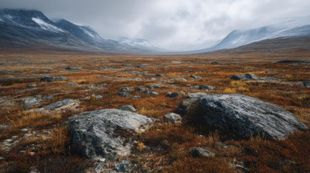 A photograph of Nordic tundra 41 with rocky tundra highlands, tundra peat soil, frozen arctic...