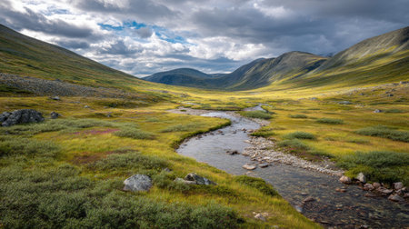 A photograph of Nordic tundra 24 with tundra valley with winding stream, arctic stone fields, short...