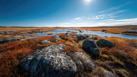 A photograph of Nordic tundra 424 with arctic tundra steppe, tundra marsh vegetation, arctic spring...