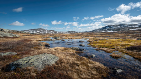 A photograph of Nordic tundra 269 with wide tundra basin, mossy tundra ground, arctic spring thaw,...