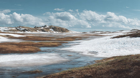 A photograph of Nordic tundra 279 with tundra landscape with frozen wetlands, patches of snow,...