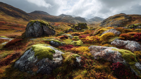 A photograph of Scottish highlands 258 with highland moorland hills, scottish moss covered rocks, colorful highland autumn, ultra realistic landscape photography, wide angle lens, natural colors, clean composition, no peopleの写真素材
