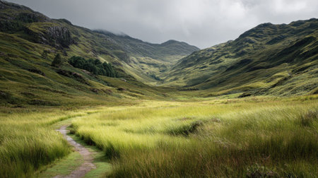 A photograph of Scottish highlands 268 with highland glen with winding path, highland grasses, green...