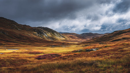 A photograph of Scottish highlands 417 with scottish glen valley, rough moorland grass, colorful...