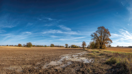 A photograph of Central European countryside with rural farmland basin, scattered countryside trees, golden countryside autumn, ultra realistic landscape photography, wide angle lens, natural colors, clean composition, no peopleの写真素材