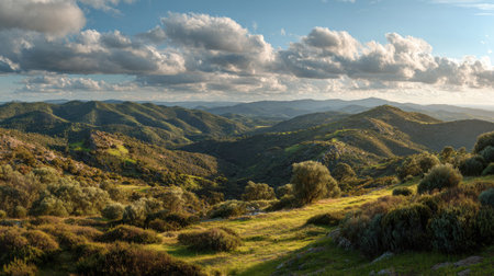 A photograph of Iberian peninsula hills 130 with sunlit iberian countryside hills, rosemary bushes,...