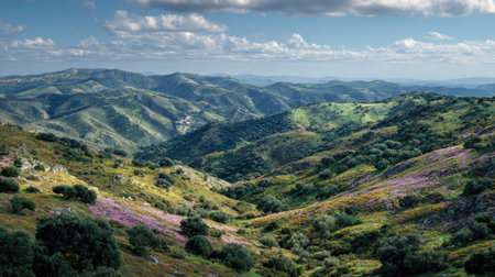 A photograph of Iberian peninsula hills 330 with iberian hill slopes with villages, holm oak trees,...