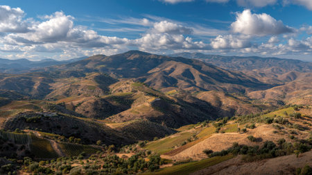 A photograph of Iberian peninsula hills 310 with iberian hills overlooking vineyards, dry hillside...