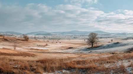 A photograph of Eastern European plains 375 with flat grassland valley, scattered countryside trees, snowy eastern european winter, ultra realistic landscape photography, wide angle lens, natural colors, clean composition, no peopleの写真素材