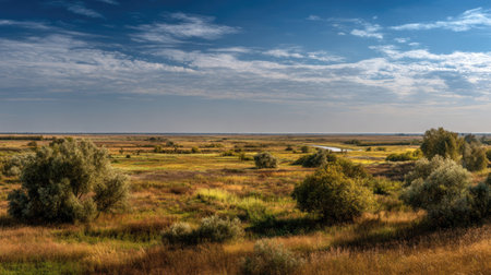 A photograph of Eastern European plains 128 with river plains with wetlands, open grassland shrubs,...