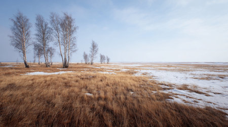 A photograph of Eastern European plains 485 with eastern european rural steppe, birch tree groves,...