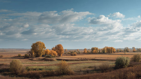 A photograph of Eastern European plains 110 with eastern european rural steppe, scattered countryside trees, golden plains autumn, ultra realistic landscape photography, wide angle lens, natural colors, clean composition, no peopleの写真素材