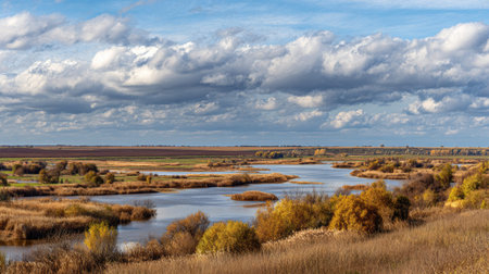 A photograph of Eastern European plains 119 with river plains with wetlands, open grassland shrubs,...