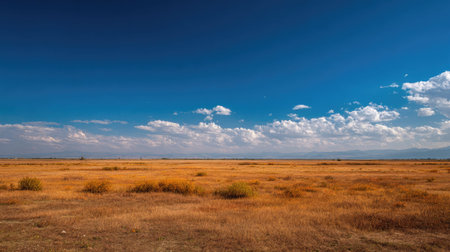 A photograph of Eastern European plains 159 with rural plains with distant tree lines, steppe...