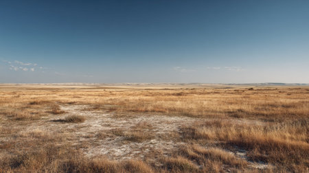 A photograph of Eastern European plains 236 with open steppe horizon landscape, dry grass patches,...