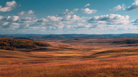 A photograph of Eastern European plains 410 with plains landscape with distant forests, grassy steppe hills, golden plains autumn, ultra realistic landscape photography, wide angle lens, natural colors, clean composition, no peopleの写真素材