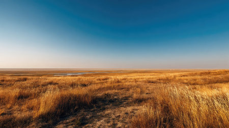 A photograph of Eastern European plains 206 with open steppe horizon landscape, riverbank grasses,...