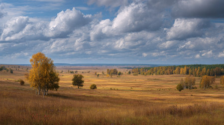 A photograph of Eastern European plains 200 with plains landscape with distant forests, birch tree groves, golden plains autumn, ultra realistic landscape photography, wide angle lens, natural colors, clean composition, no peopleの写真素材