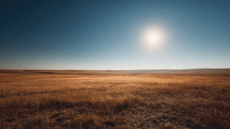 A photograph of Eastern European plains 465 with endless agricultural plains, sunlit grass fields,...
