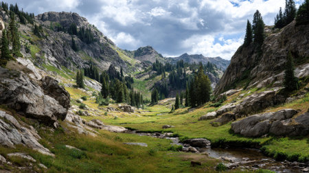 A photograph of Rocky Mountains wilderness 145 with rocky mountain alpine meadow valley, pine...