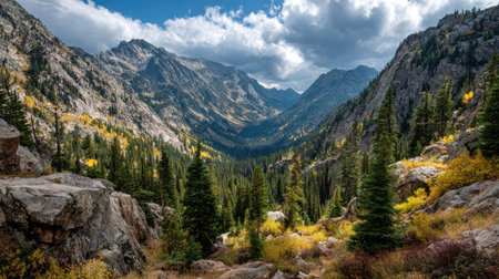 A photograph of Rocky Mountains wilderness 354 with rocky mountain alpine pass, pine forest valley...