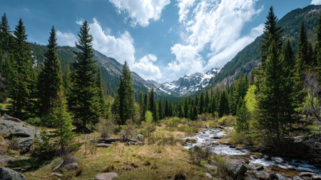 A photograph of Rocky Mountains wilderness 210 with rocky mountain forest valley, fir tree groves,...