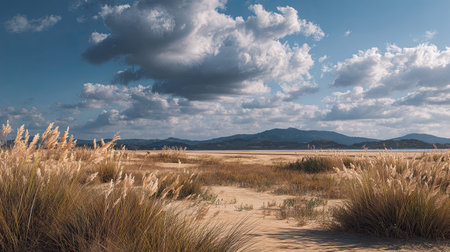 A photograph of Spain 72 with spanish countryside plains, sandy beach grasses, spanish summer, ultra...