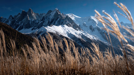 A photograph of chamonix mont blanc valley, coastal grasses, french winter, ultra realistic...