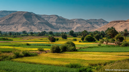 A photograph of Egypt with valley of the kings desert hills, fields of crops, egyptian spring, ultra realistic landscape photography, wide angle lens, natural colors, clean composition, no peopleの写真素材