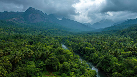 A photograph of India with kerala forest valley, mangrove trees, indian monsoon season, ultra...