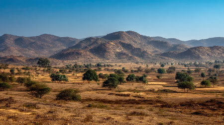 A photograph of rajasthan steppe hills, casuarina trees, indian winter, ultra realistic landscape...