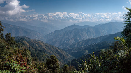 A photograph of darjeeling mountain ridge, wild tropical plants, indian winter, ultra realistic...