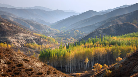 A photograph of China with great wall desert hills, bamboo groves, chinese autumn, ultra realistic...
