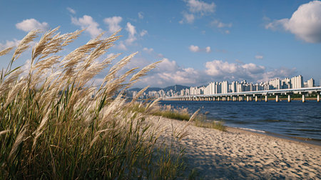 A photograph of South Korea 22 with seoul han river skyline, sandy beach grasses, korean summer,...