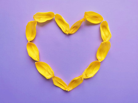 Heart made of yellow tulip petals on purple background, top view