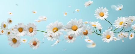 Floral banner with chamomiles and water drops isolated on blue background. AI generated.の素材