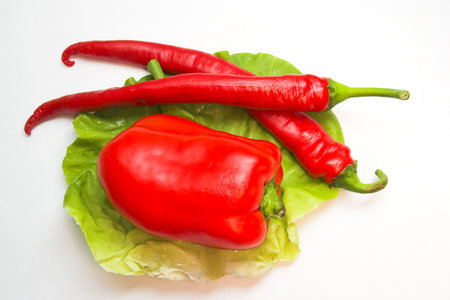 Horizontal image of  red pepper and two chilli peppers placed on a green leaf of lettuce