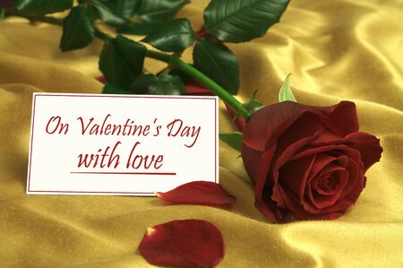 Image shows a red rose on the bed, and a white card with inscription  On Valentine's Day with loveの写真素材